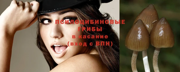дмт Балахна