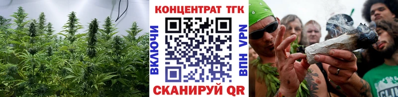 купить закладку  Завитинск  Дистиллят ТГК концентрат 